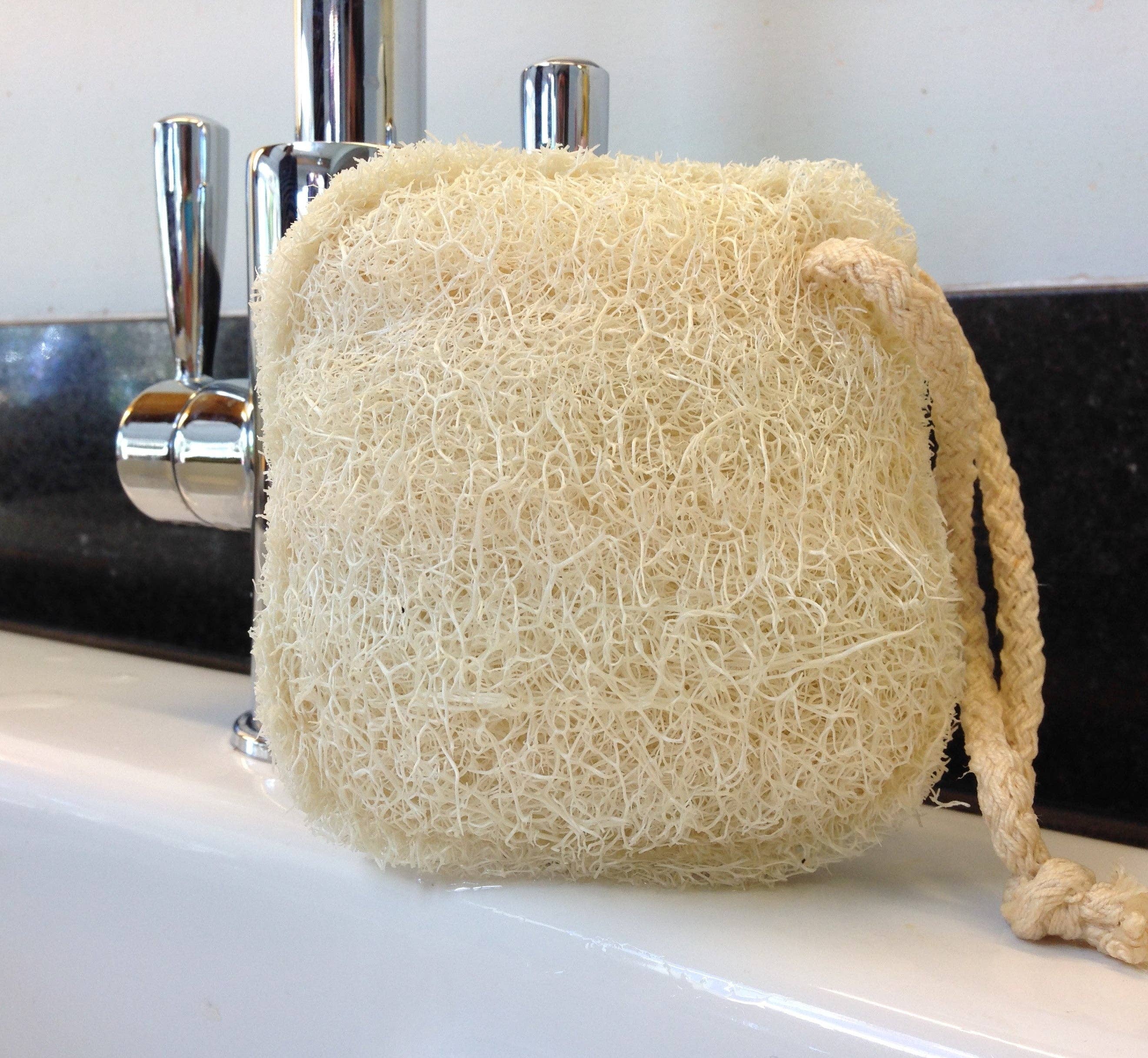 LoofCo Natural Cleaning Pads 2-Pack – Eco-Friendly Loofah Scrubbers - Image 3